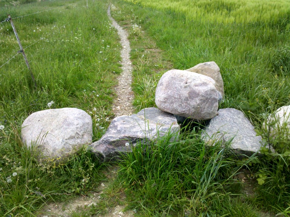 Ehemaliger Elsterradweg am Ufer der Weißen Elster bei Pegau - Steinblockade zur Förderung der Renaturierung des Uferpfads im Mai 2016