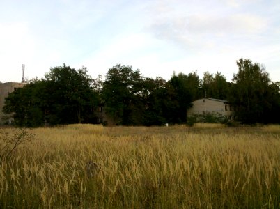 Ehem. Kaserne und TrÜbPl Alt-Jeßnitz-Raguhn in der Kleckewitzer Heide 2016b