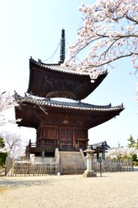 Eifukuji (Taishi), tou-2