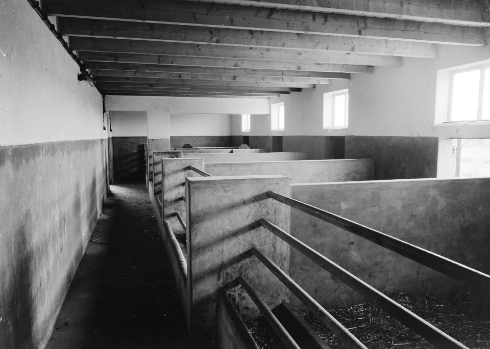 Eigenaar damens j w a k, Bestanddeelnr 162-0627