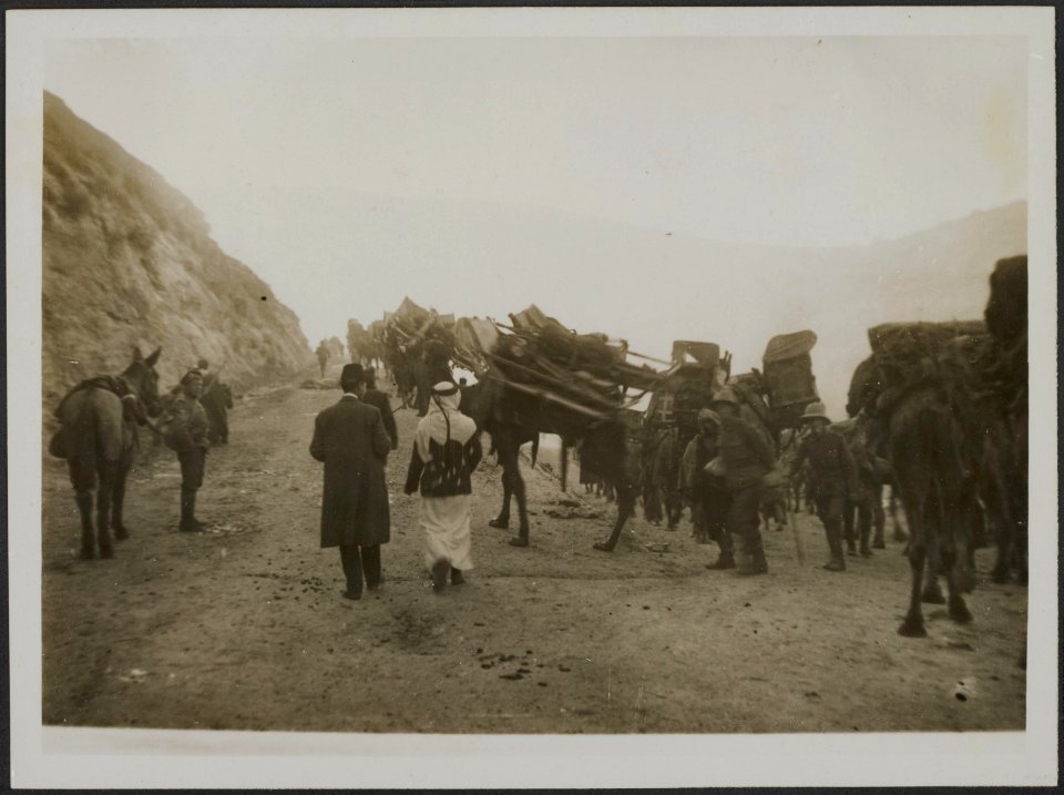 Egyptian official photograph. Stretcher Bearers with camel transport advancing t, Bestanddeelnr 158-1914