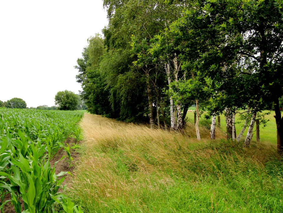 Ehem. Empel-Rees - Münster - Abschnitt Gescher-Coesfeld 09