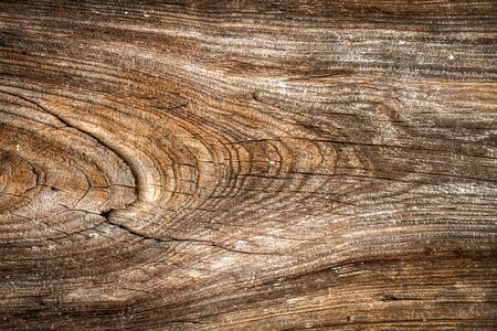 Hardwood interior wall