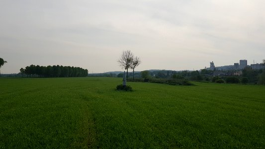 Eijsden-Grenspaal 46N (BE-NL) (4)