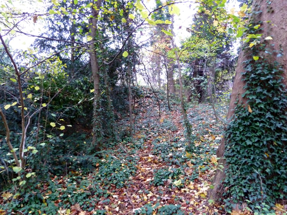 Eijsden-Kasteel Eijsden (43)