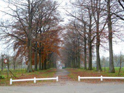 Eijsden-Kasteel Eijsden (67)