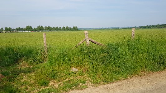 Eijsden-Moelingen-Grenspaal 44a (BE-NL) (1)