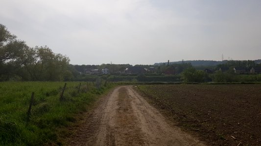 Eijsden-Moelingen-Grenspaal 45N (BE-NL) (1)