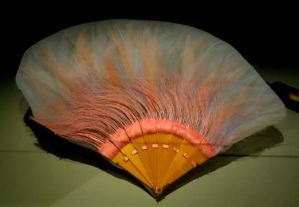 Egret and bird-of-paradise dyed feather fan, England, c. 1912, feathers of egret and Paradisaea apoda, Aru Islands, Indonesia - Royal Ontario Museum - DSC04445