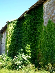 Eguileta - San Roman 04a
