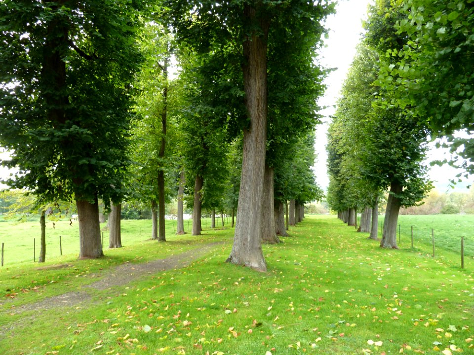 Eijsden-Kasteel Eijsden (32)