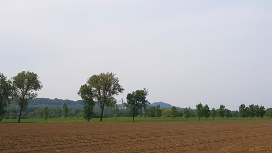 Eijsden-Grenspaal 46N (BE-NL) (1)