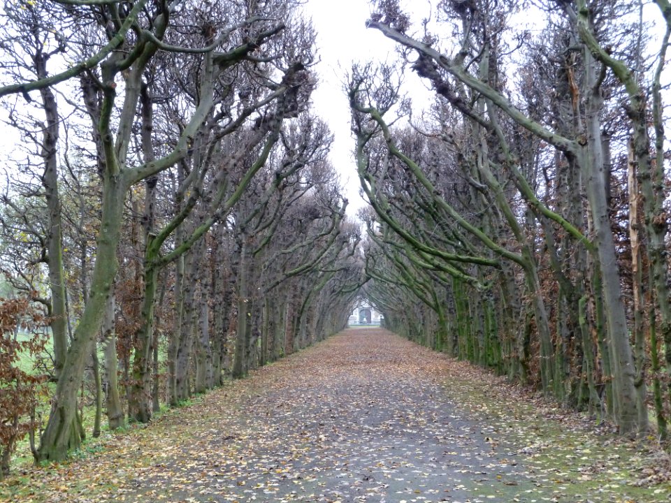 Eijsden-Kasteel Eijsden (68)