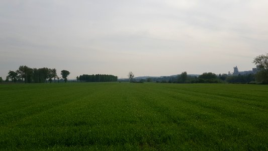 Eijsden-Grenspaal 46N (BE-NL) (3)