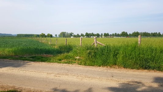 Eijsden-Moelingen-Grenspaal 44a (BE-NL) (4)