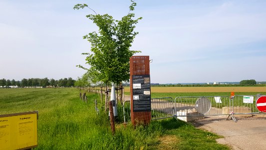 Eijsden-Moelingen-Grenspaal 43 (BE-NL) (4)