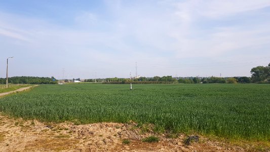 Eijsden-Moelingen-Grenspaal 44 (BE-NL) (8)