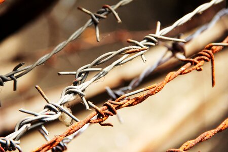 Wire fence prickly metal photo