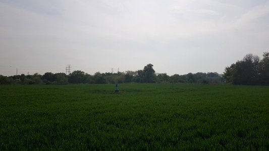 Eijsden-Moelingen-Grenspaal 44 (BE-NL) (2)