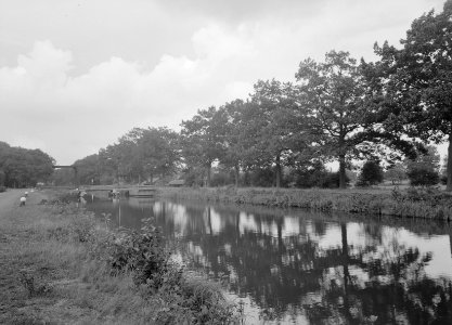 Eiken, kanalen, amerikaanse eik, apeldoorns-dierenskanaal, Bestanddeelnr 168-0227
