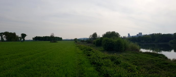 Eijsden-Grenspaal 46N (BE-NL) (7)