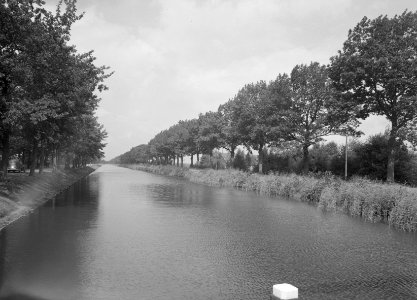 Eiken, kanalen, amerikaanse eik, apeldoorns-dierenskanaal, Bestanddeelnr 168-0226