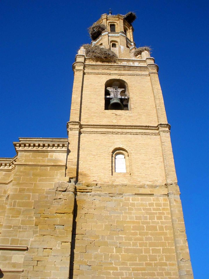 Ejea de los Caballeros - Iglesia de Santa Maria de la Corona 09