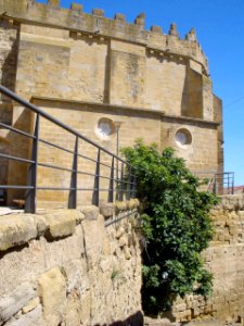 Ejea de los Caballeros - Iglesia de Santa Maria de la Corona 06