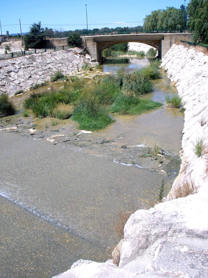 Ejea de los Caballeros, río Arba 2