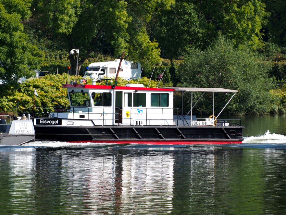 Eisvogel, ENI 05039110 on the Moselle river, photo 1