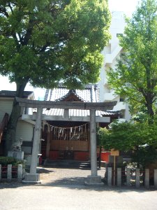 Ejima-Sugiyama-Shrine-Tokyo photo