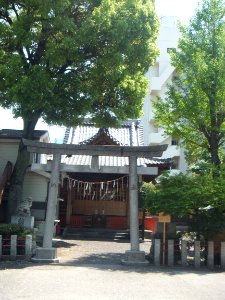 Ejima-Sugiyama-Shrine-Tokyo