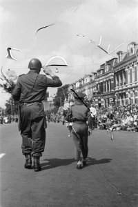 Einde Vierdaagse Nijmegen Watt en Half Watt bij het leger, Bestanddeelnr 912-7817