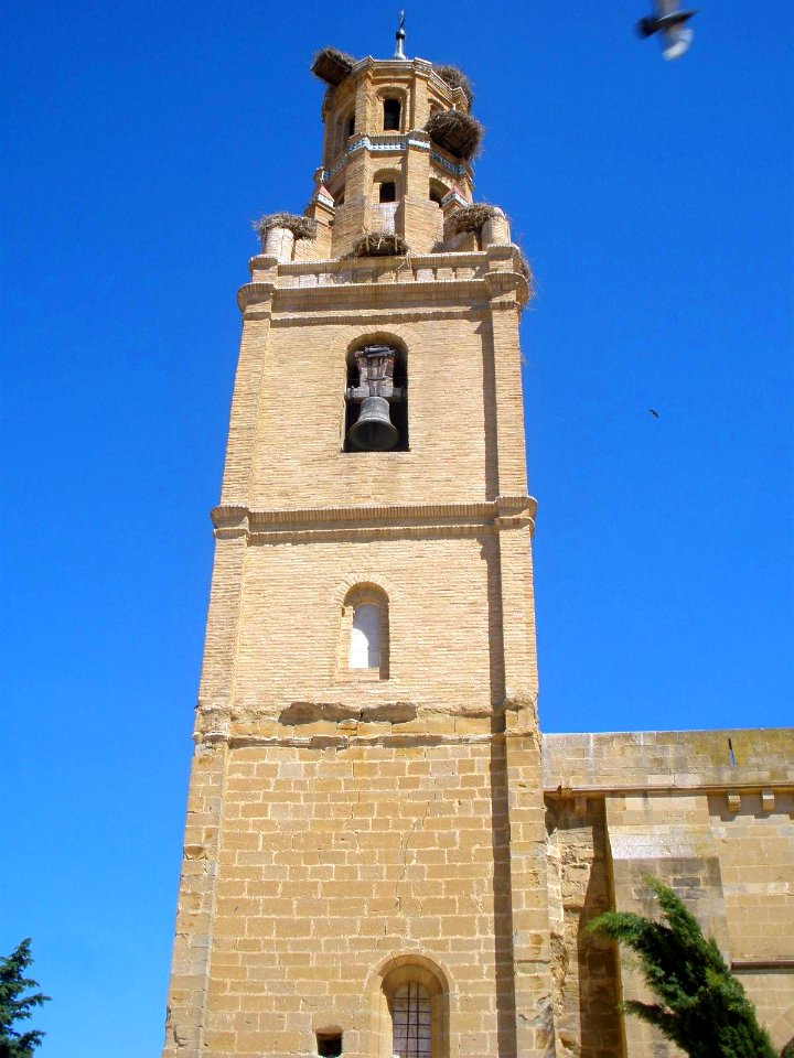 Ejea de los Caballeros - Iglesia de Santa Maria de la Corona 04