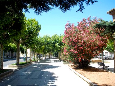 Ejea de los Caballeros 17