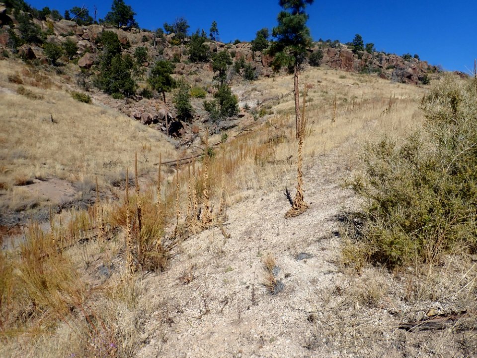 El Cajete Bandelier Wilderness