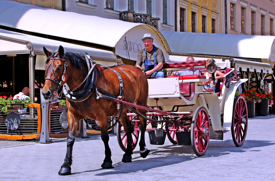Transport city street