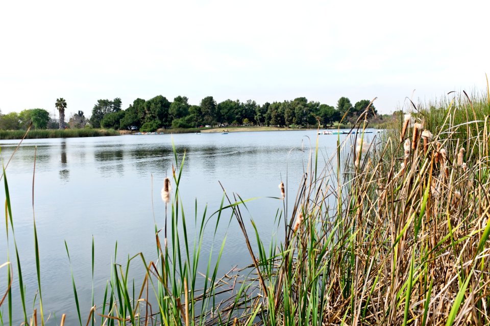 El Dorado Regional Pk North lake 1