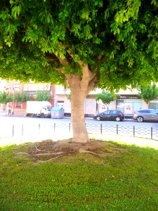 El Campello - 002