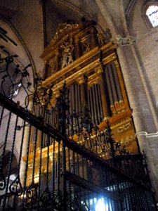 El Burgo de Osma - Catedral 37