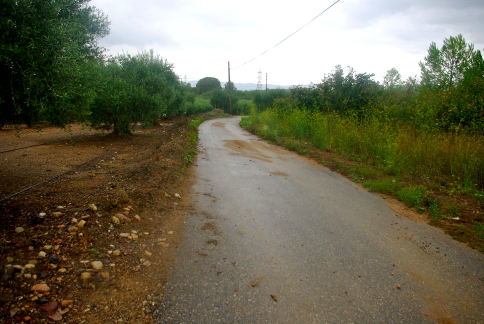 El Camí del Mas de Gassot1