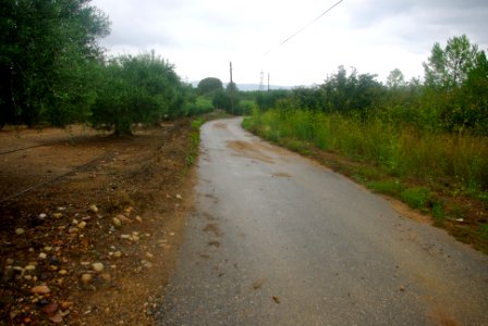 El Camí del Mas de Gassot1