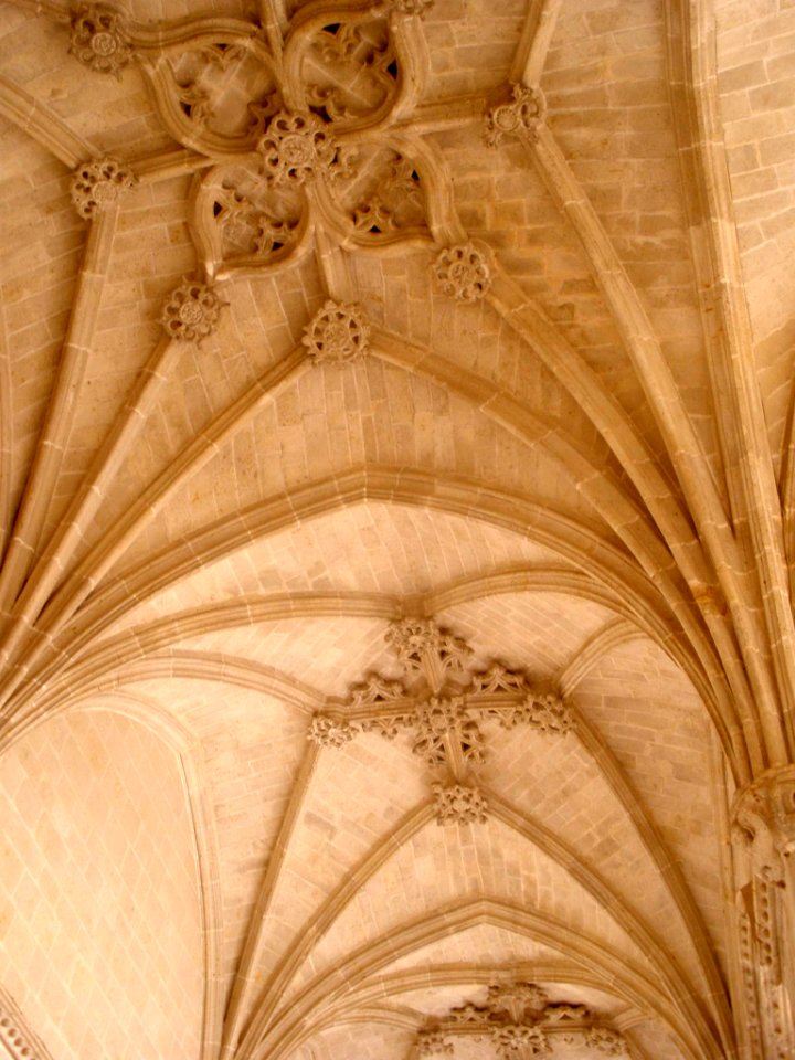 El Burgo de Osma - Catedral, claustro 03