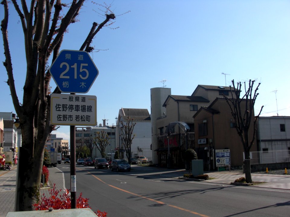 Ekimae Street, Sano