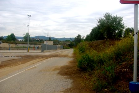El Camí de la Selva1