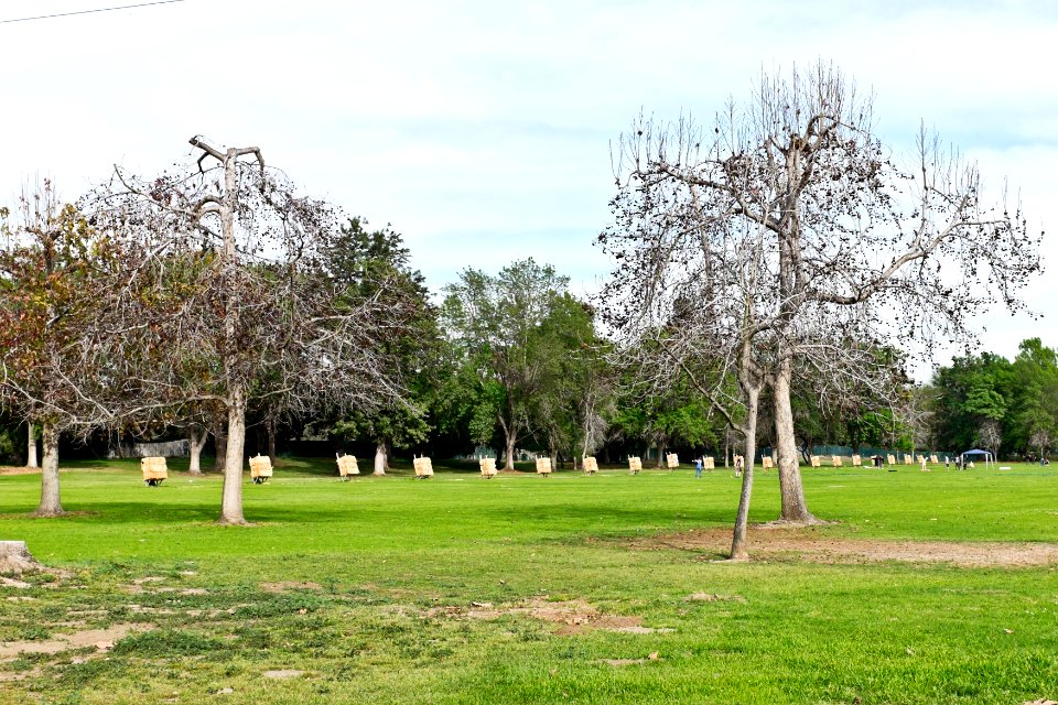 El Dorado Regional Pk Archery Range