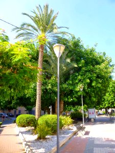 El Campello - 004