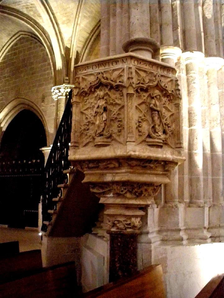 El Burgo de Osma - Catedral 31