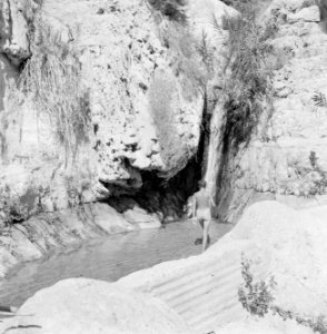 Ein Gedi Rotswand met de Sudarbron en een badgast, Bestanddeelnr 255-2744
