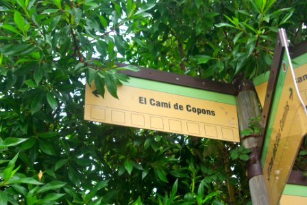 El Camí de Copons